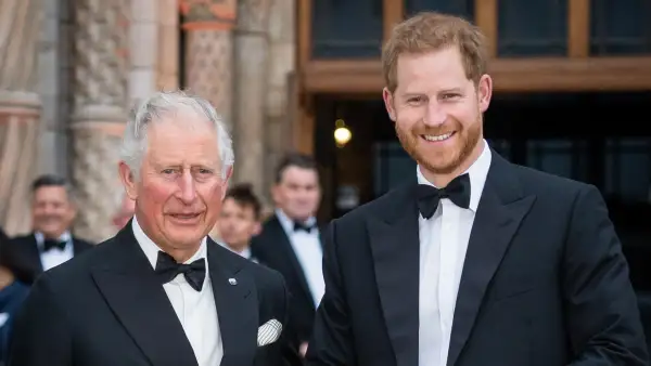 Prince Harry Visits Charity Honoring Princess Diana After Charles Reunion