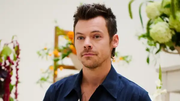 Harry Styles Used This Fake Name to Run the Berlin Marathon