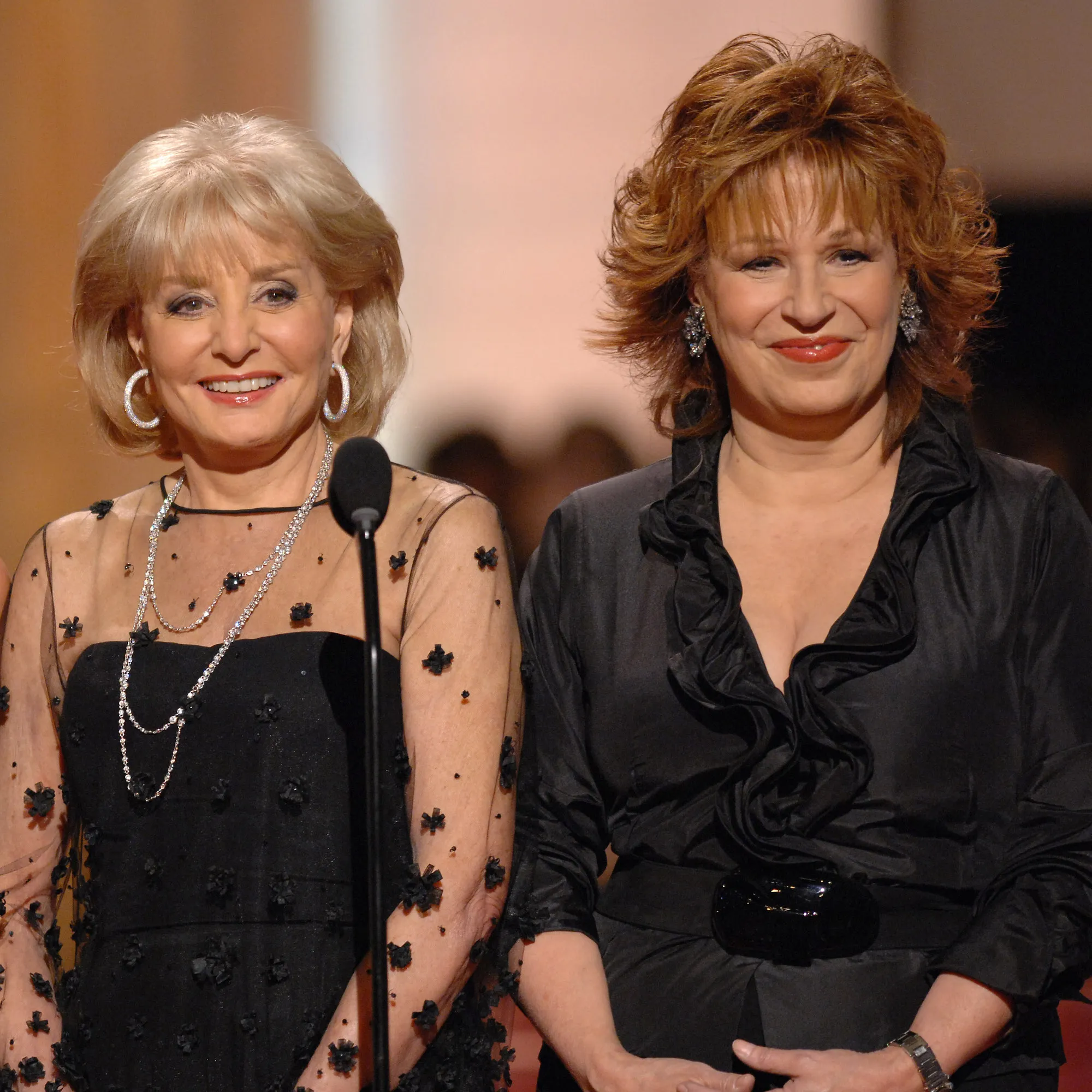 GettyImages-75607040Joy-Behar-Says-Barbara-Walters-Regretted-Firing-Her-From-The-View.jpg