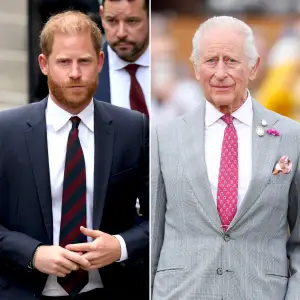 Inside Prince Harry s and King Charles Possible Meeting