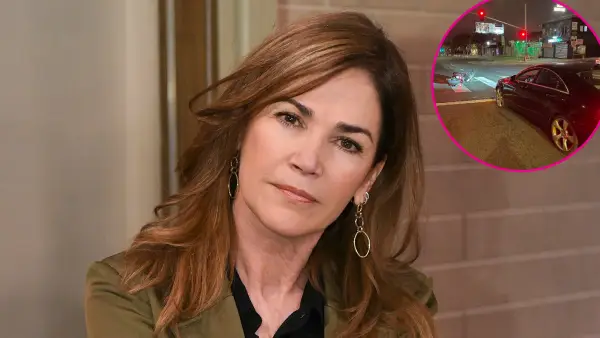 Kim Delaney Accused of Being Intoxicated by Hit and Run Witnesses