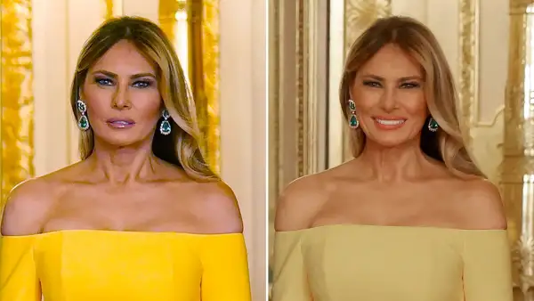 Melania Trump Dress at State Banquet Sparks Debate Over One Style Detail Pink or Purple