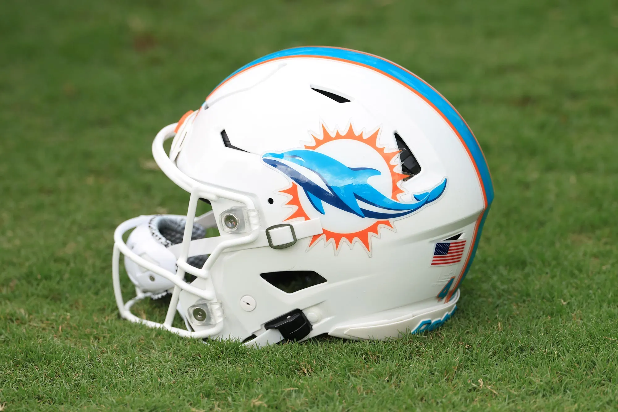 Miami Dolphins Coach Accused of Choking Woman During Domestic Violence Incident