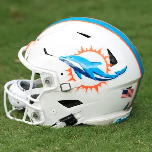 Miami Dolphins Coach Accused of Choking Woman During Domestic Violence Incident