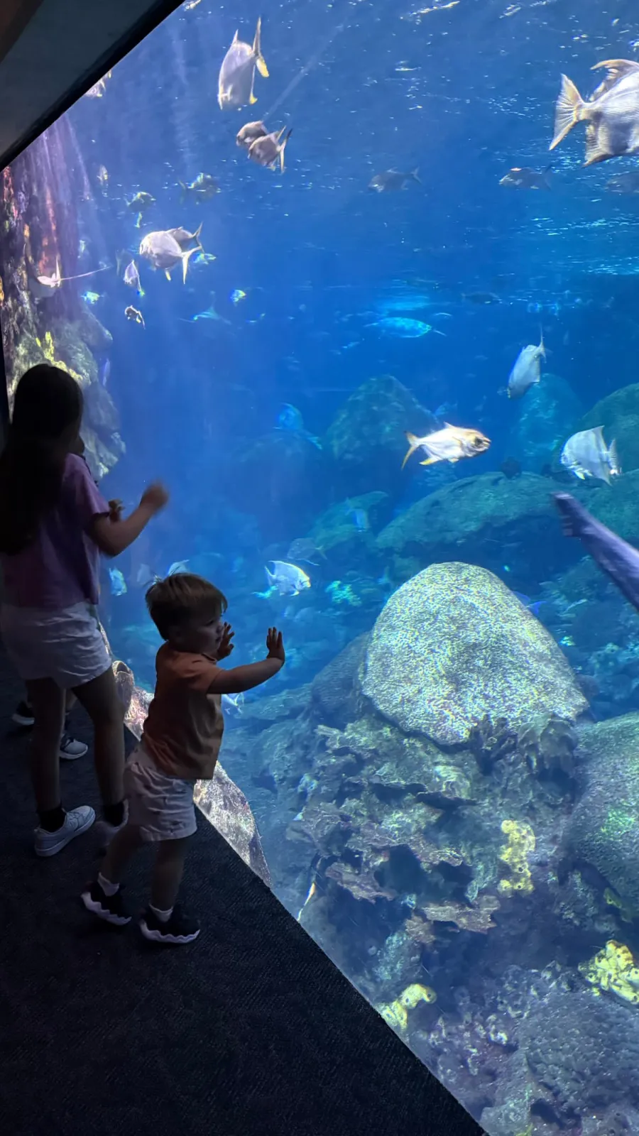 Stars Celebrating Labor Day 2025 6