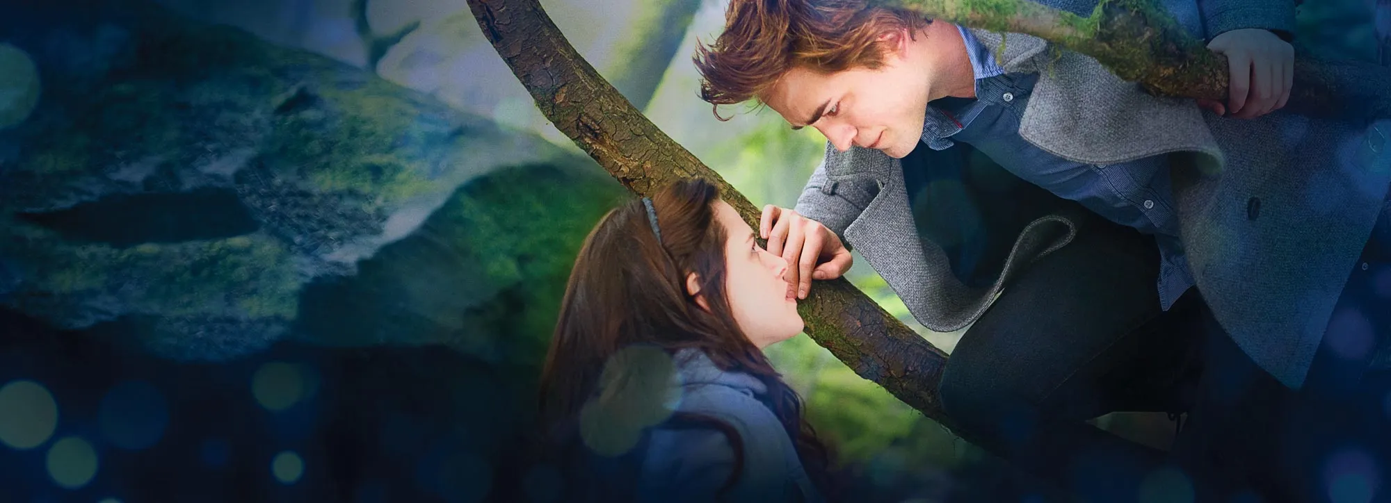 Team Edward or Team Jacob Twilight Was Published 20 Years Ago Starting a Phenomenon 021