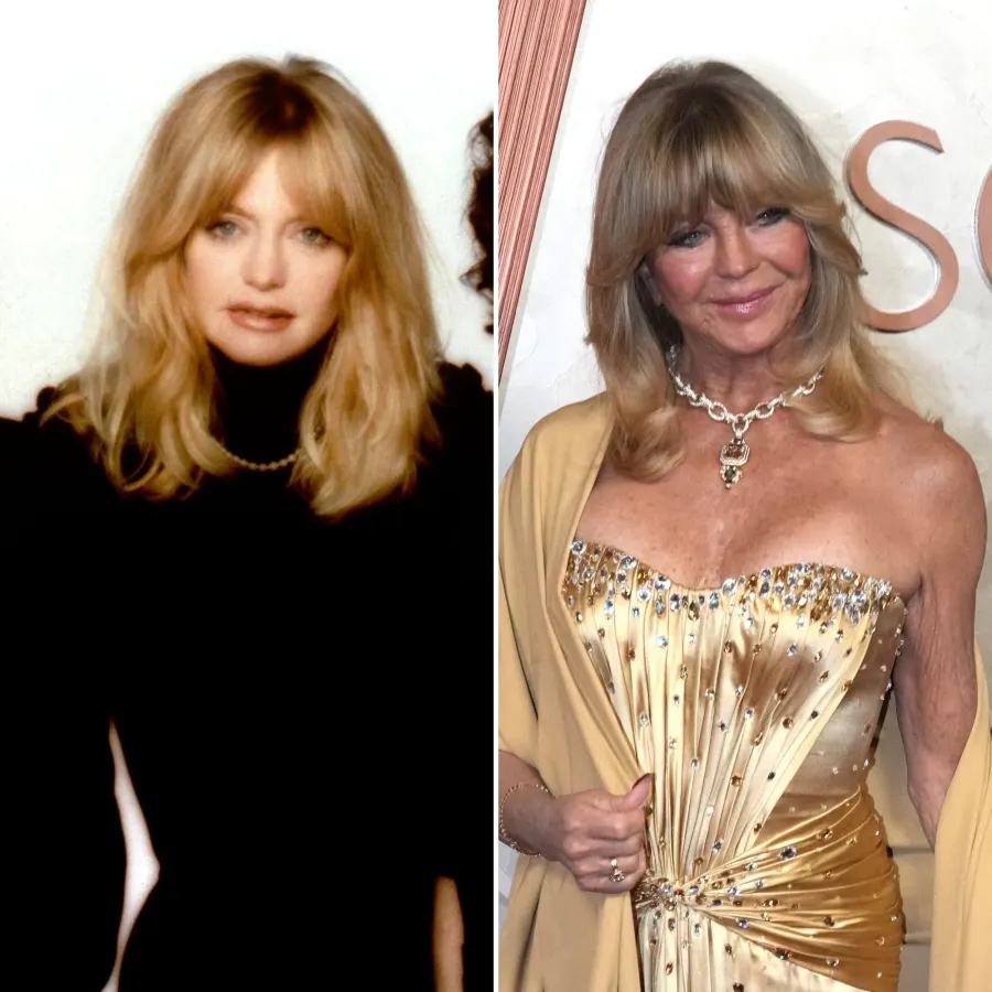 The First Wives Club Cast: Where Are the Film’s Stars Now?