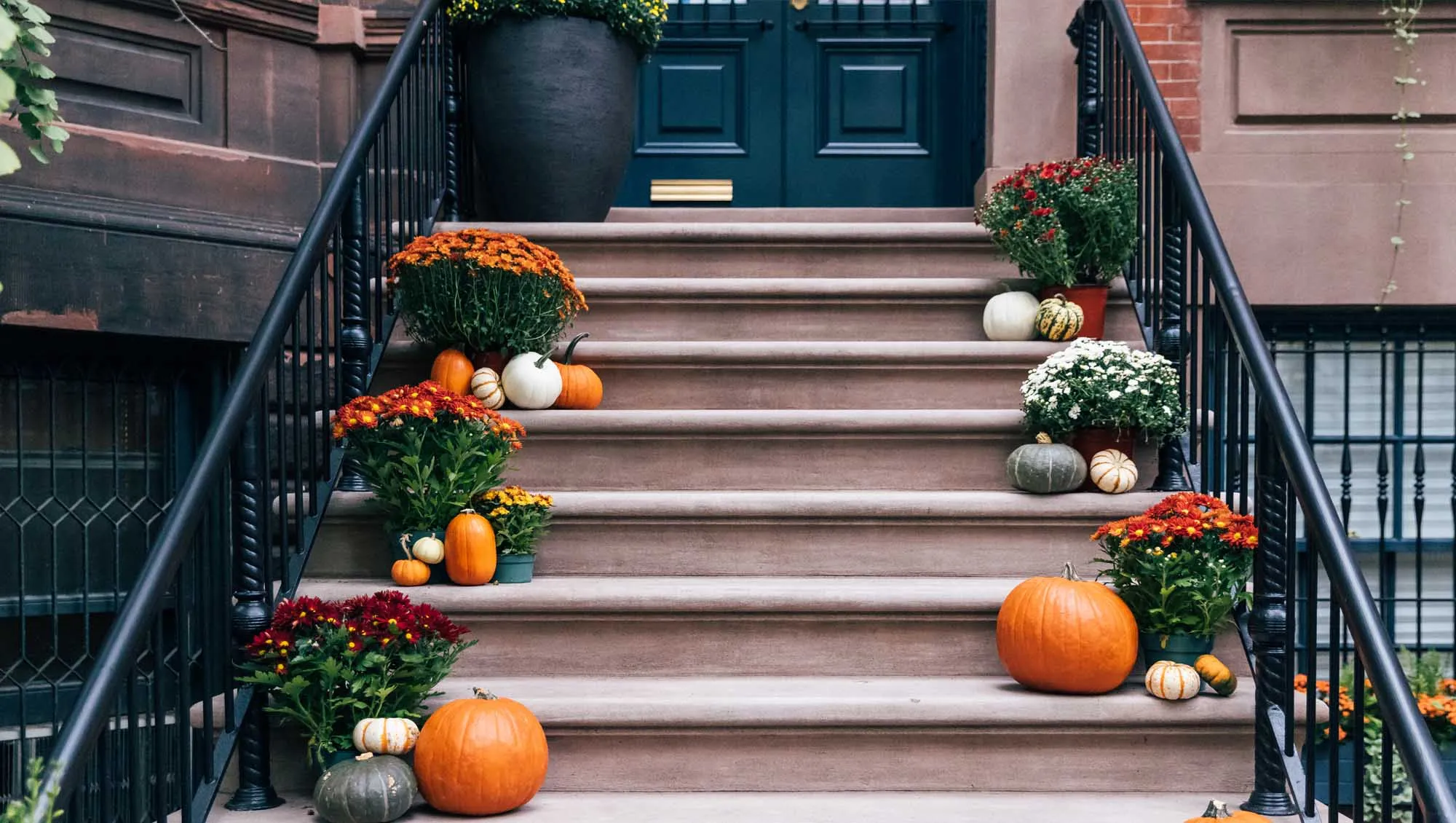 Halloween Decorations