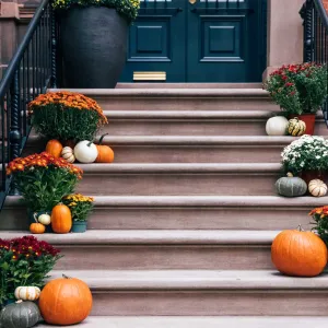 Halloween Decorations