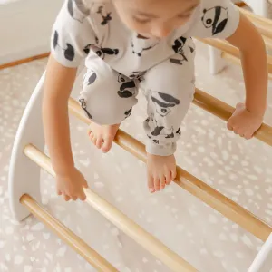 Smart Playrooms products