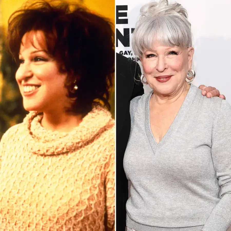 The First Wives Club Cast: Where Are the Film’s Stars Now?