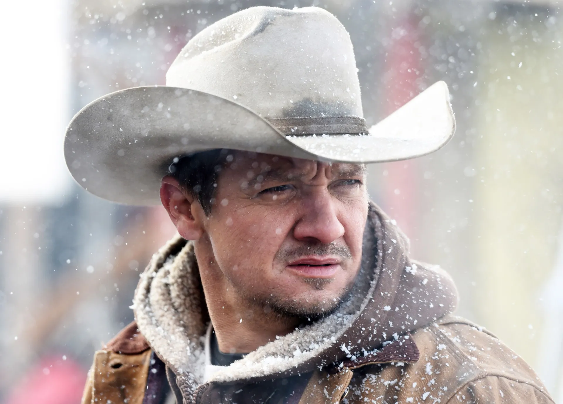 Jeremy Renner in Wind River