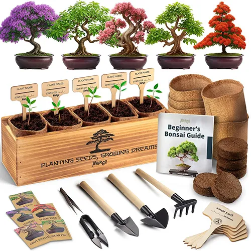 Bonsai Tree Kit
