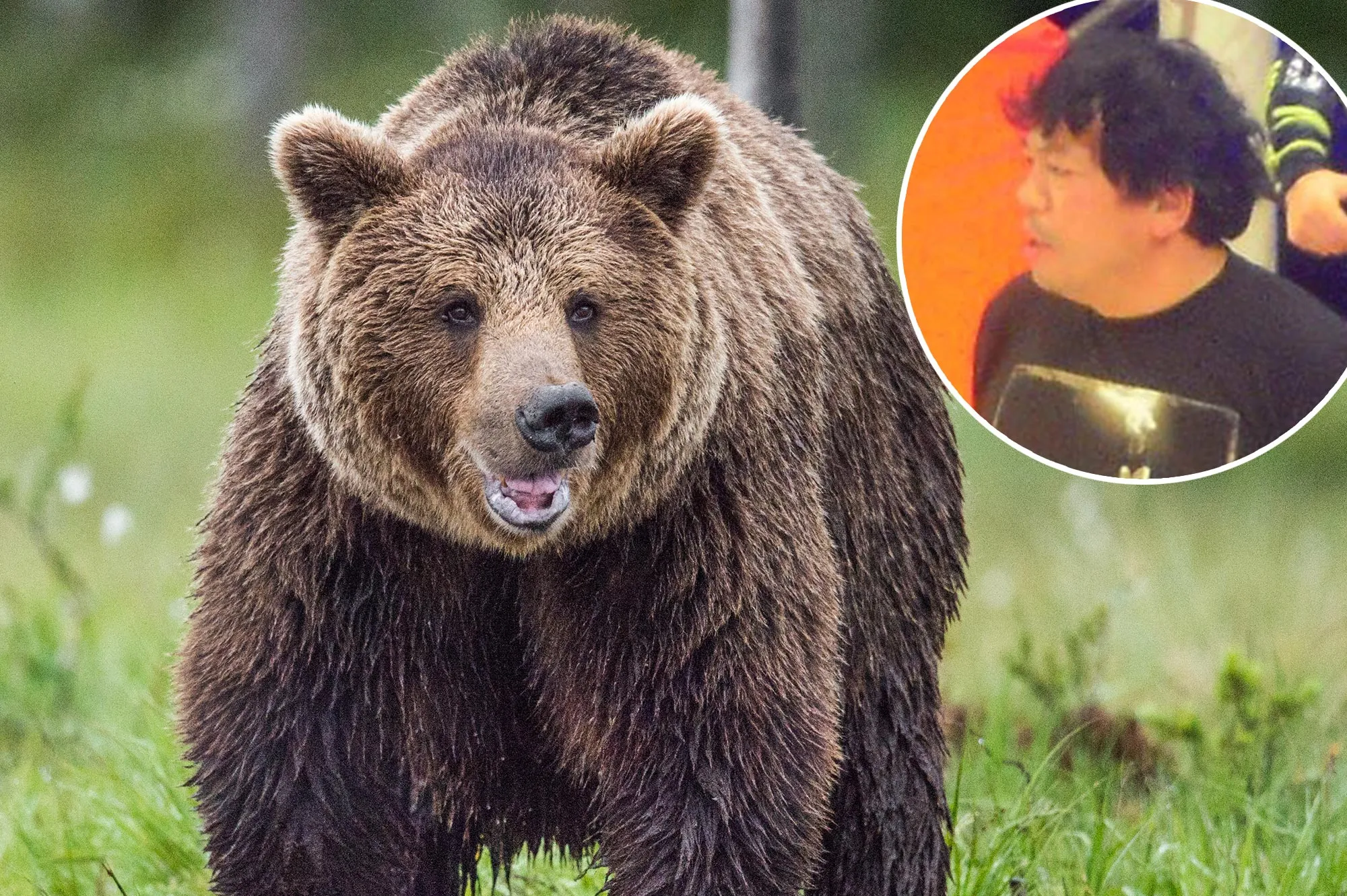 Beloved Professional Wrestling Referee Katsumi Sasazaki Killed in Horrifying Bear Attack GettyImages 612837824