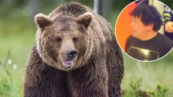 Beloved Professional Wrestling Referee Katsumi Sasazaki Killed in Horrifying Bear Attack GettyImages 612837824