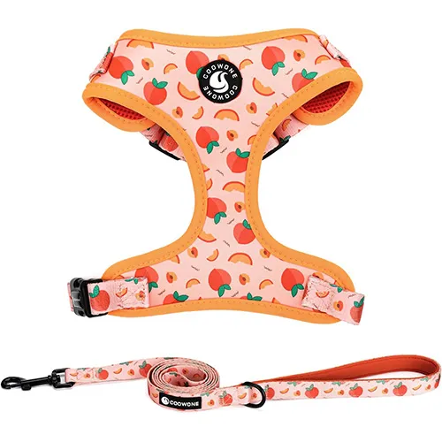 COOWONE DOG HARNESS AND LEASH SET