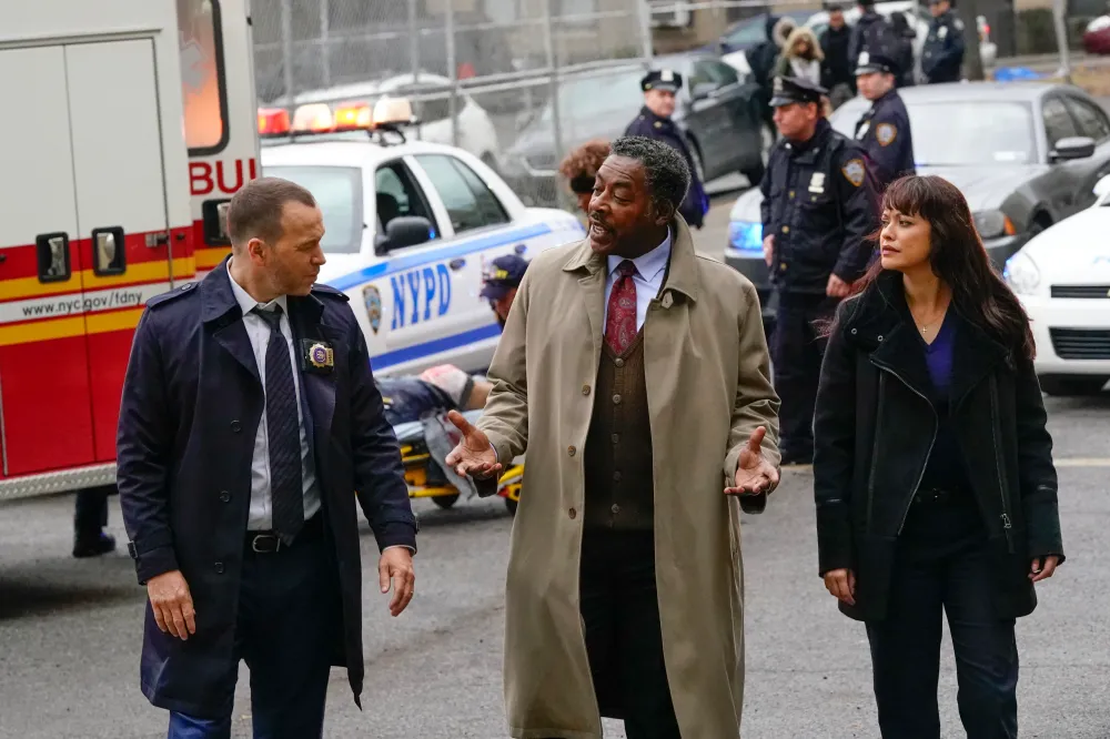 Ernie Hudson Defends 'Blue Bloods' Continuity After Different Spinoff Role