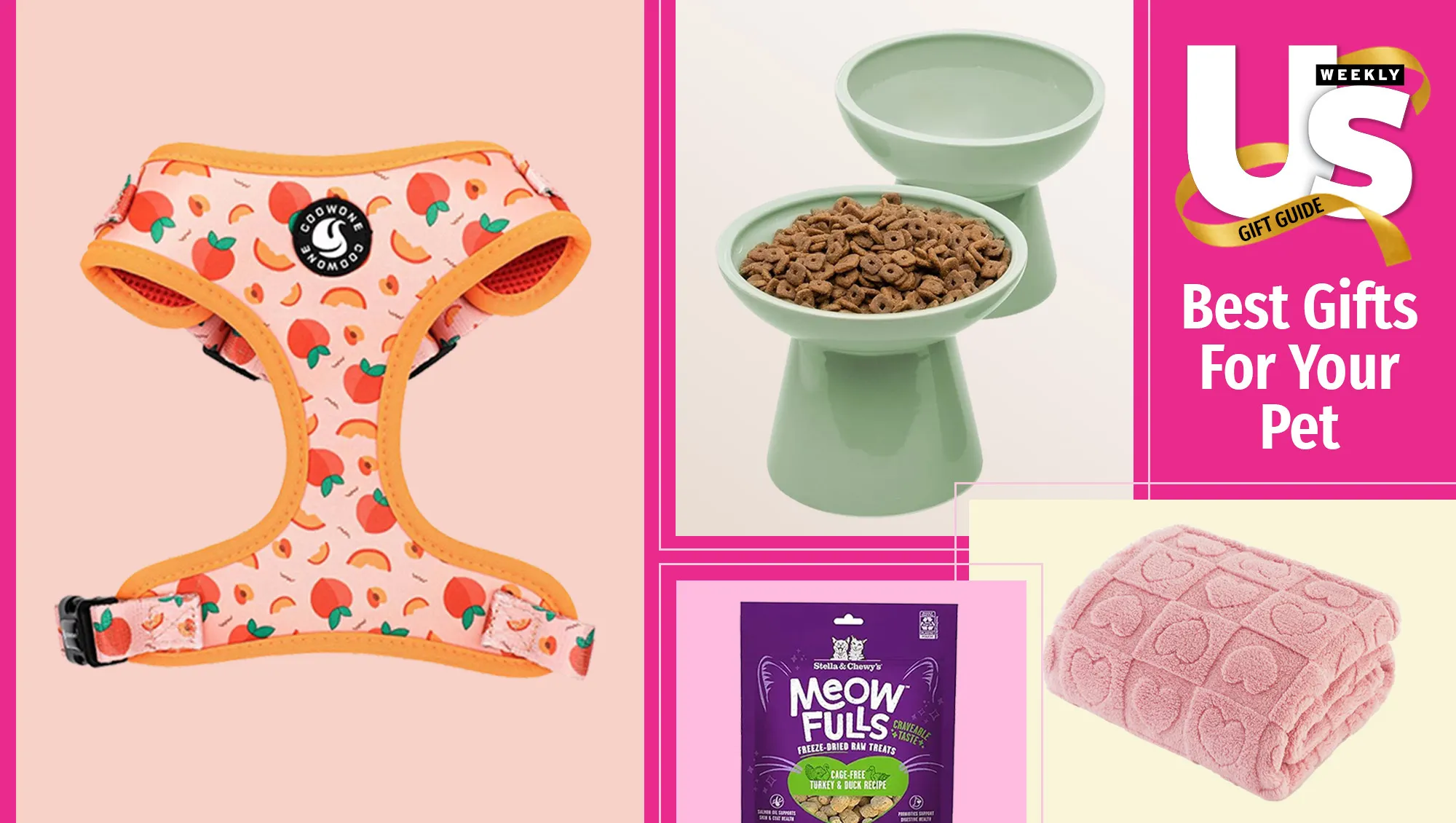 Best Holiday Gifts for Pets