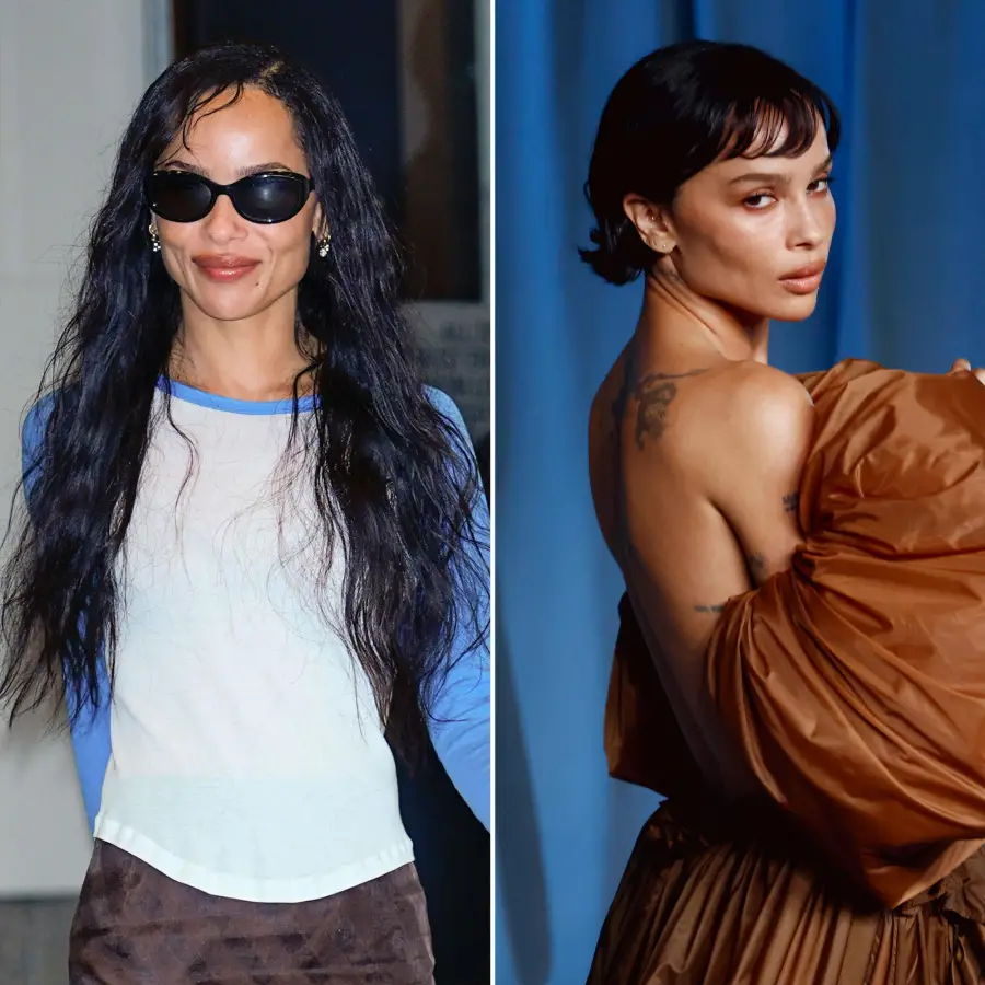 Hair Changes Zoe Kravitz 2231542098 2241936222