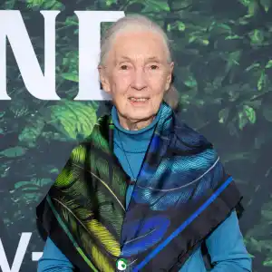Jane Goodall Dead at 91 GettyImages 1482307737