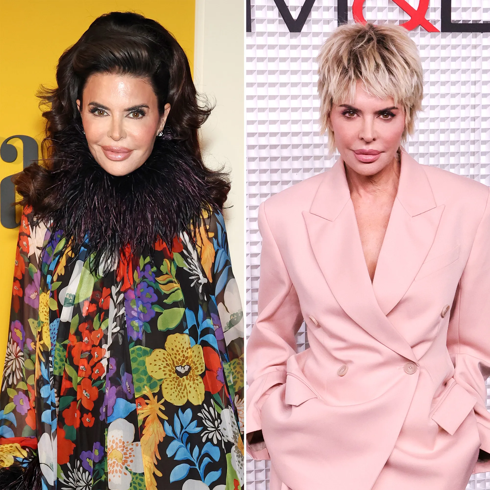 Lisa Rinna Steals the Spotlight With Voluminous Bouffant Hairdo Ditches Spiky Bob on Red Carpet
