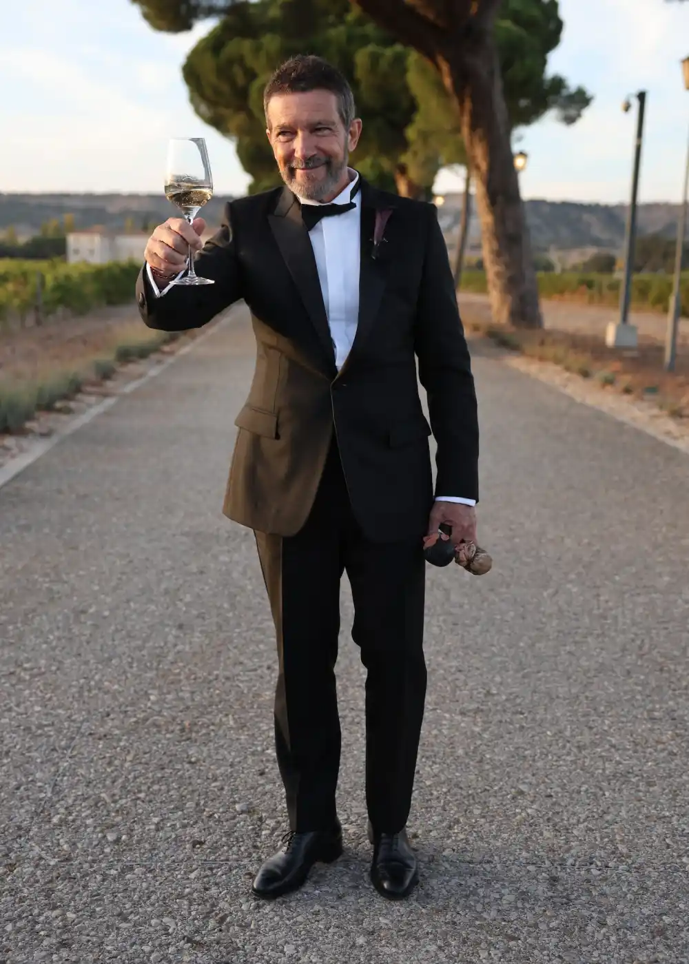 Antonio Banderas Celebrates Daughter Stella Banderas Wedding in Spain