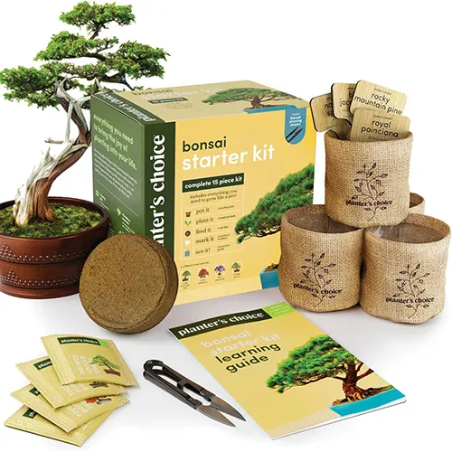 Planters&rsquo; Choice Bonsai Starter Kit