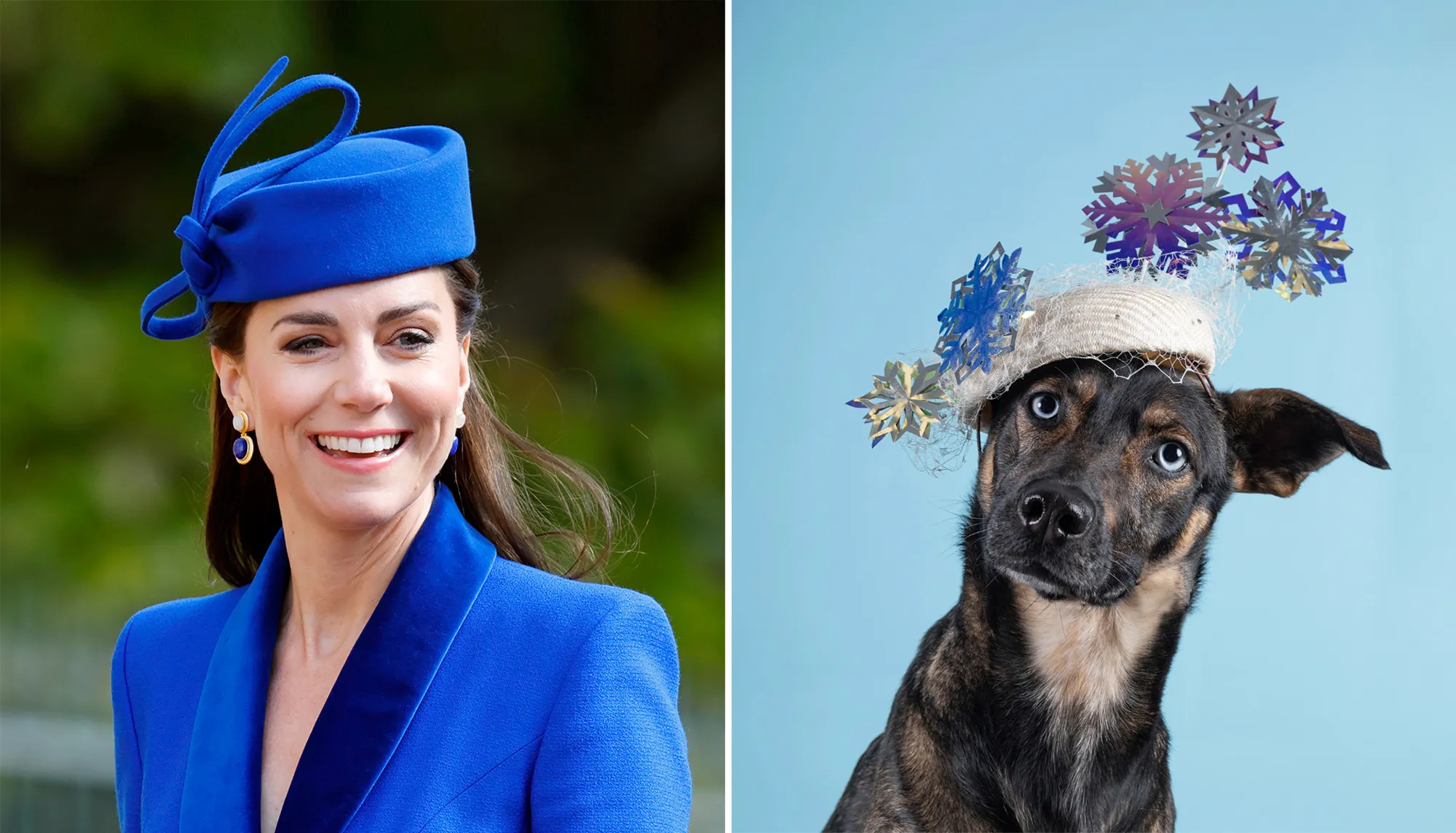 Royal Milliner Who Designed Kate Middleton and Meghan Markle Hats Releases 2026 Haute Dogs Calendar to Help Shelter Pets