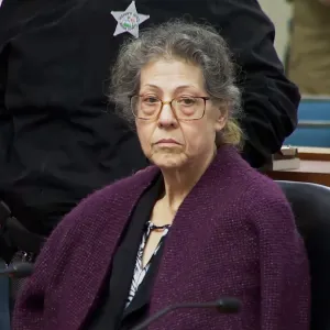 Susan Lorincz The Perfect Neighbor