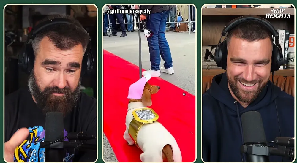 Travis Kelce Reacts to Dog Dressed as Taylor Engagement Ring for Halloween