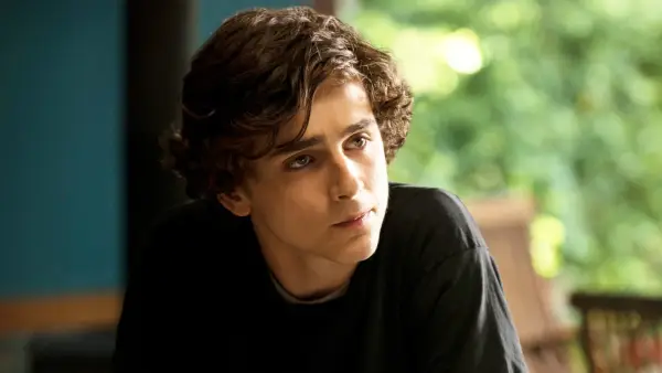 Timothee Chalamet in Beautiful Boy