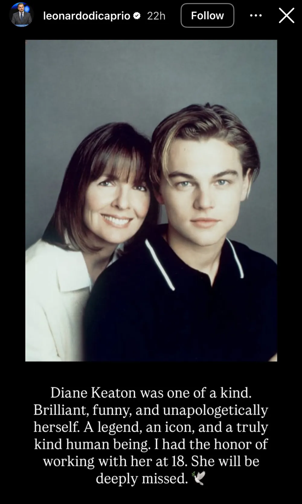 Leonardo DiCaprio and Diane Keaton