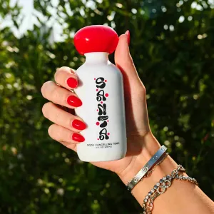 santa natural energy