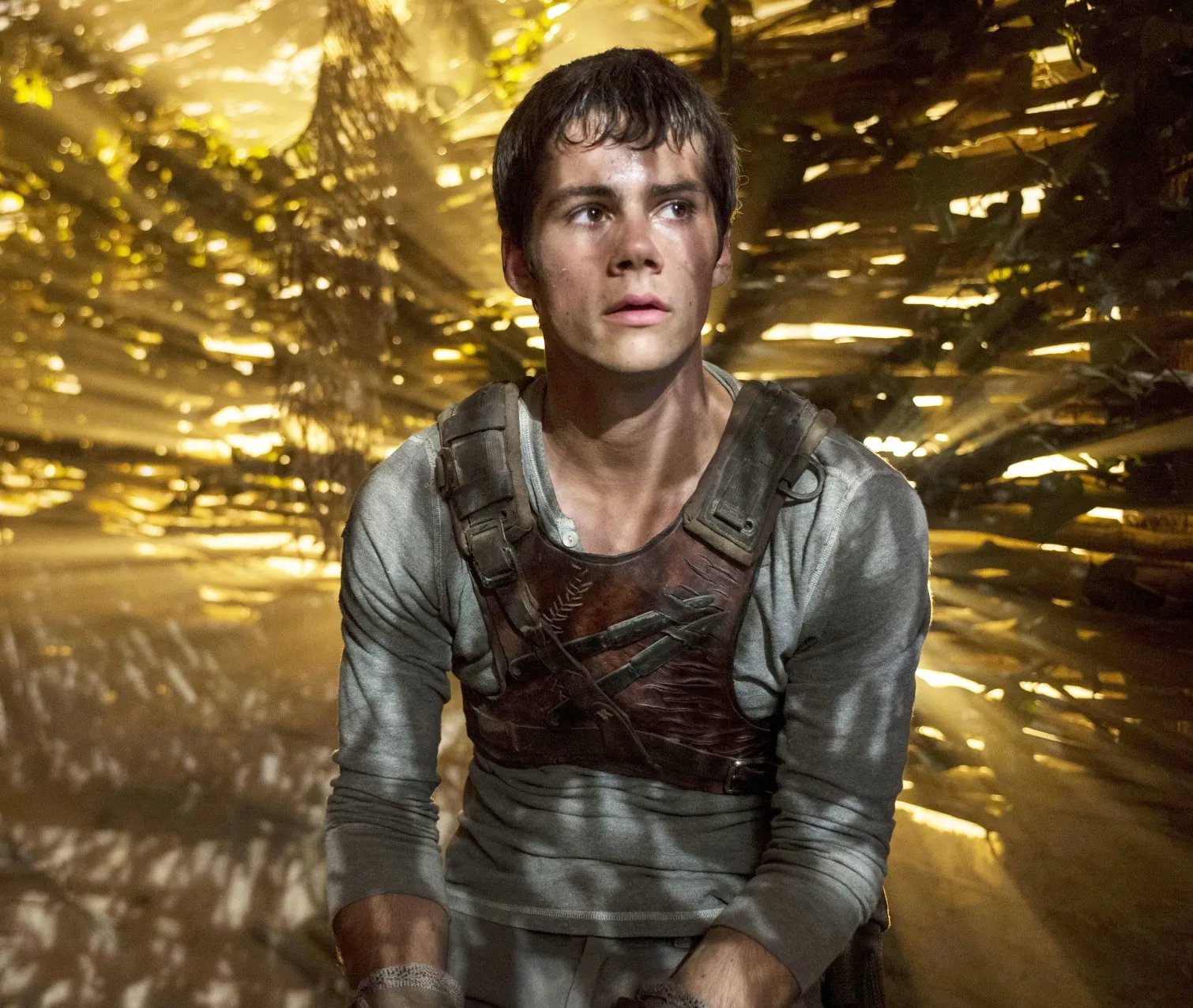 Dylan O'Brien in THe Maze Runner