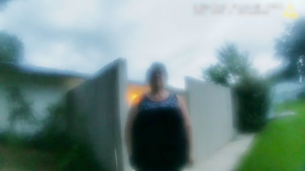 Susan Lorincz in The Perfect Neighbor