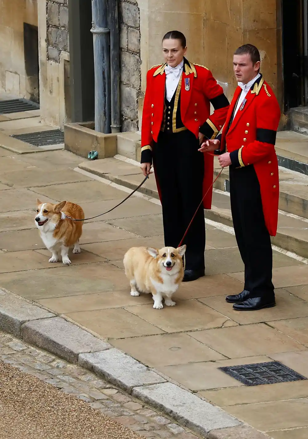 Whats Happening to Queen Elizabeth II Corgis