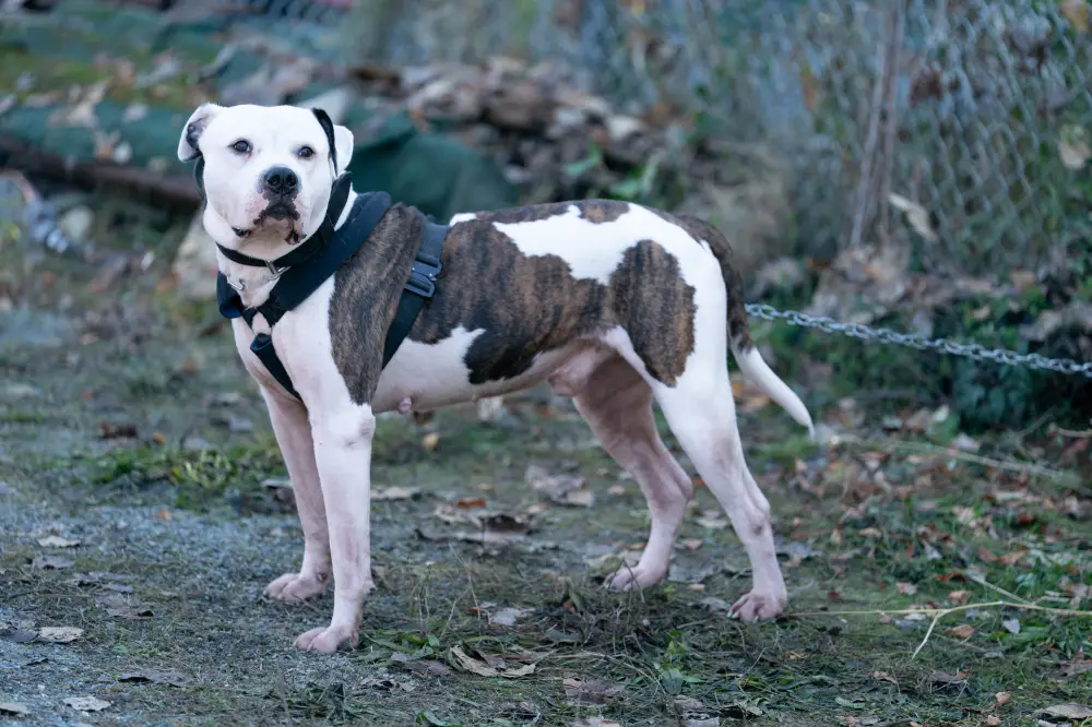 'Tracker' Pulls Inspiration From JonBenet Ramsey and Casey Anthony Cases