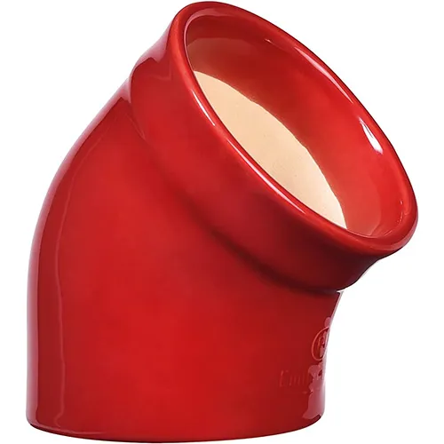 Emile Henry Salt Pig