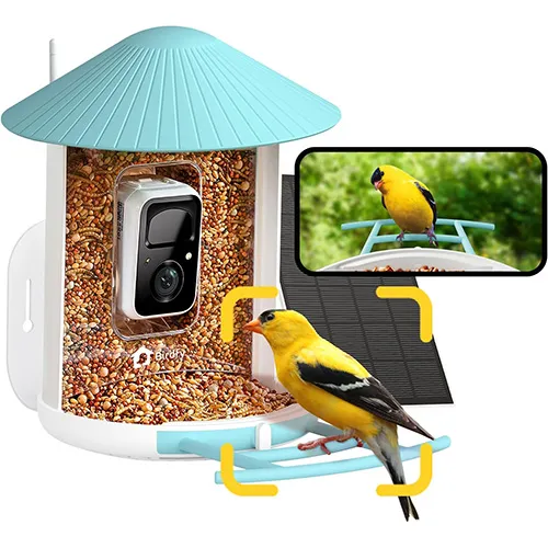 Smart Bird Feeder