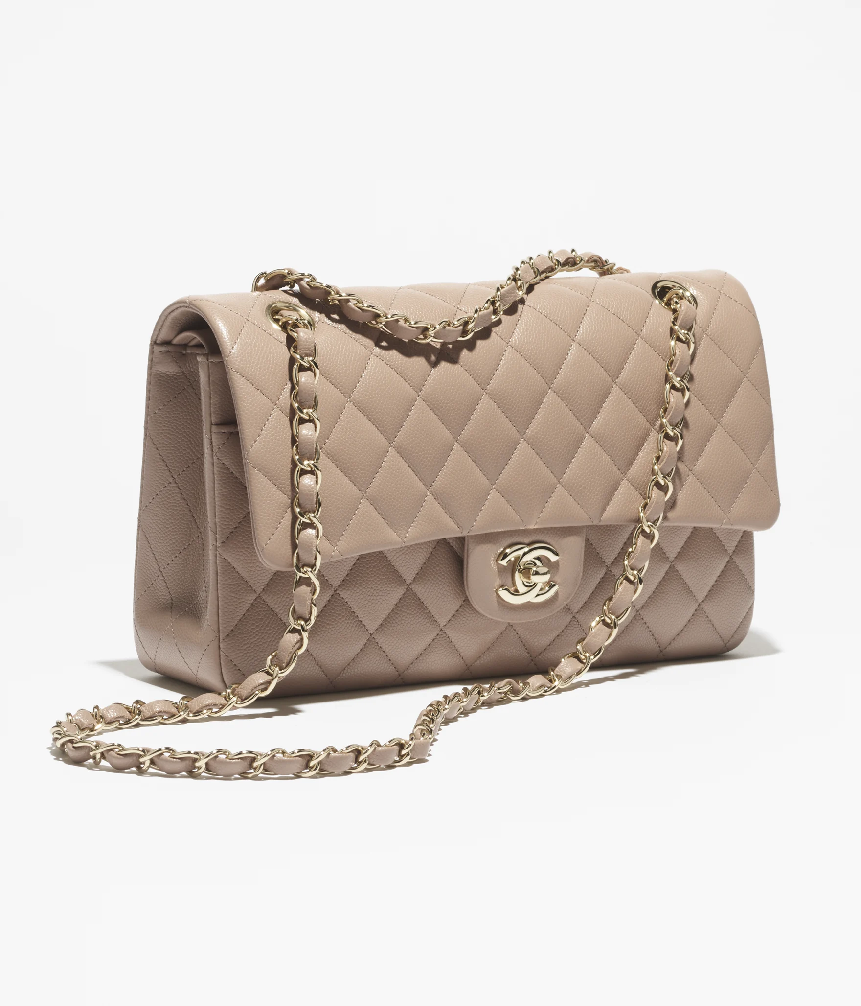 chanel 2025/26 cruise bag collectsion 