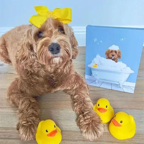 Bath Tub Pet Portrait