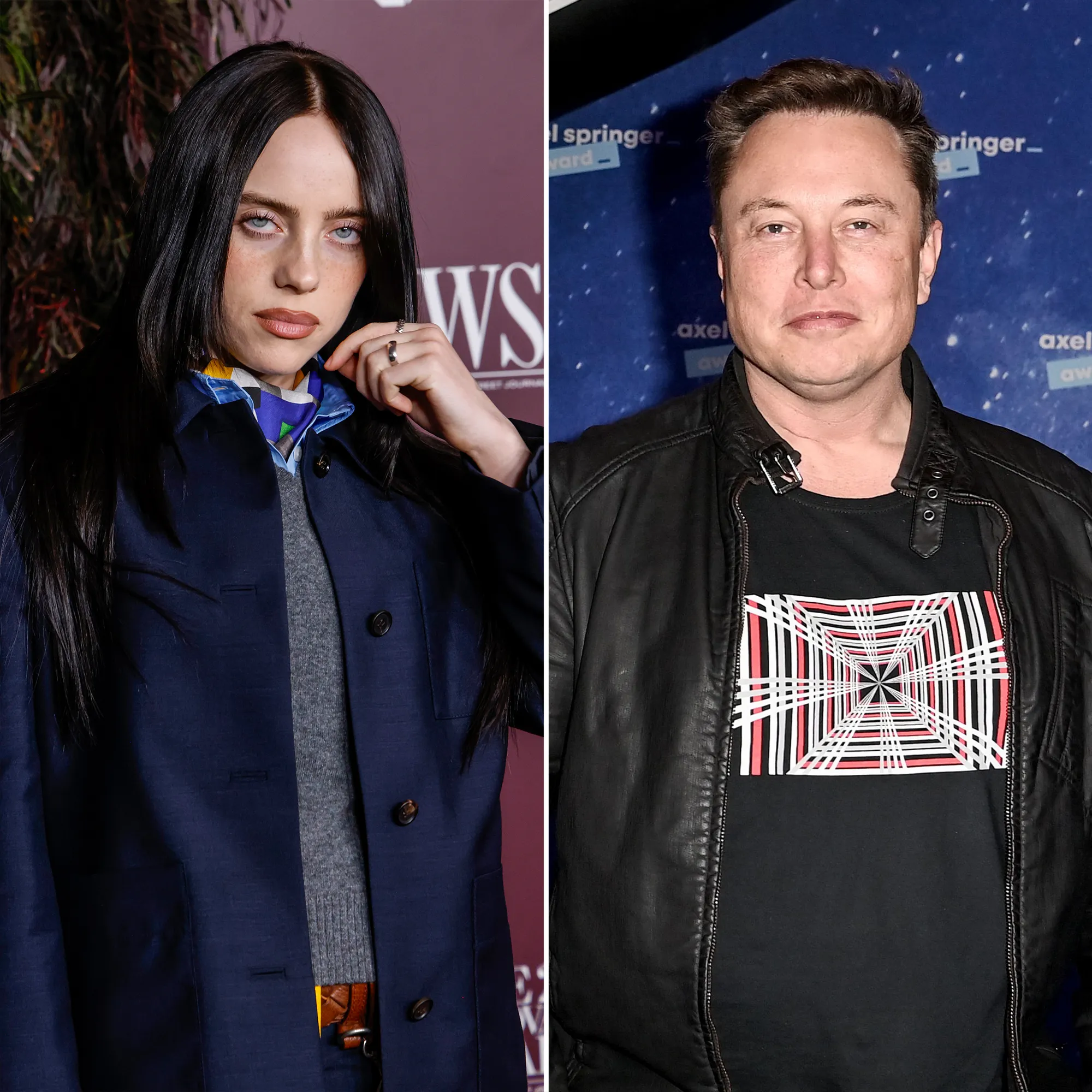 Billie Eilish Calls Elon Musk a Pathetic Bitch Coward