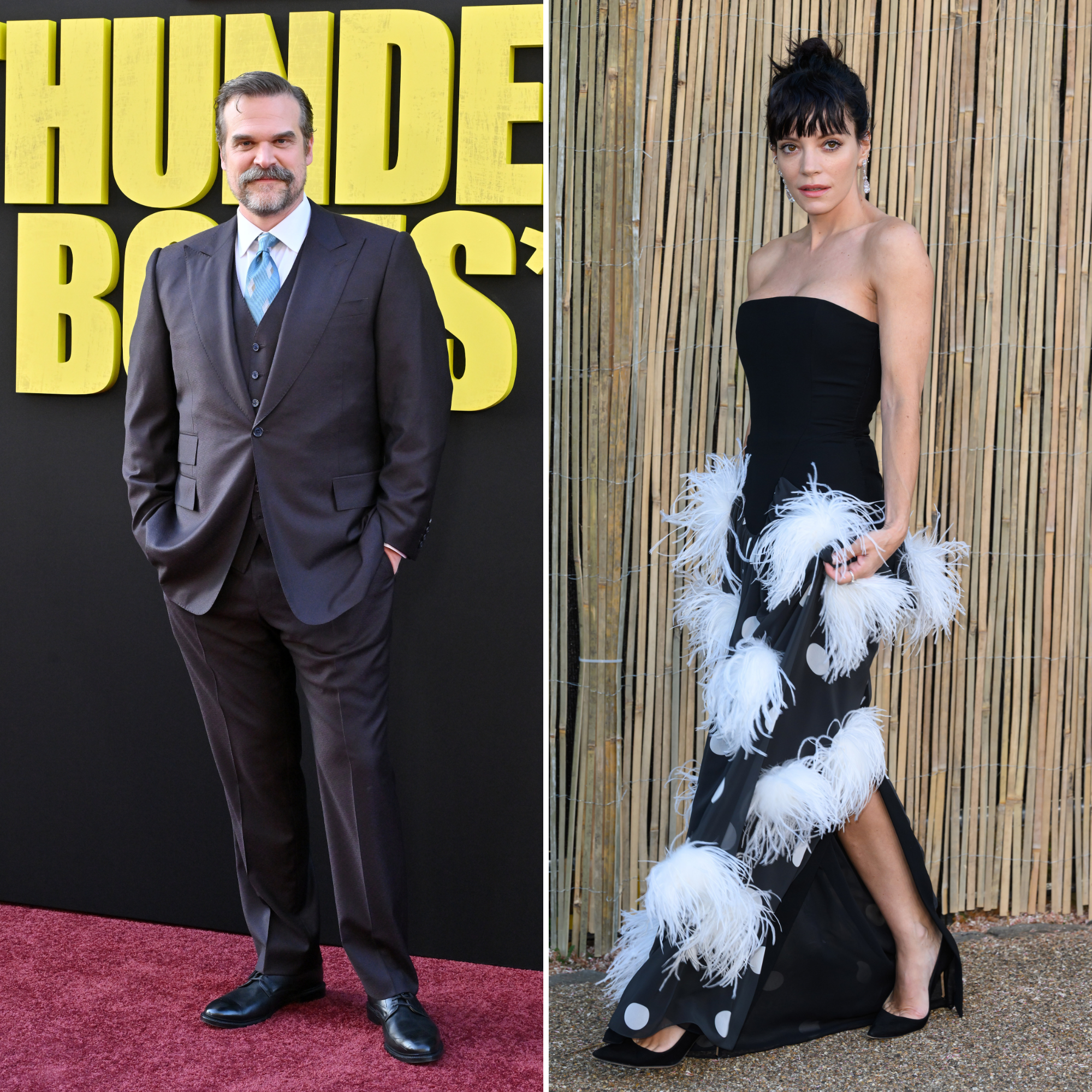 David-Harbour-GettyImages-2212531625-and-Lily-Allen-GettyImages-2221988937