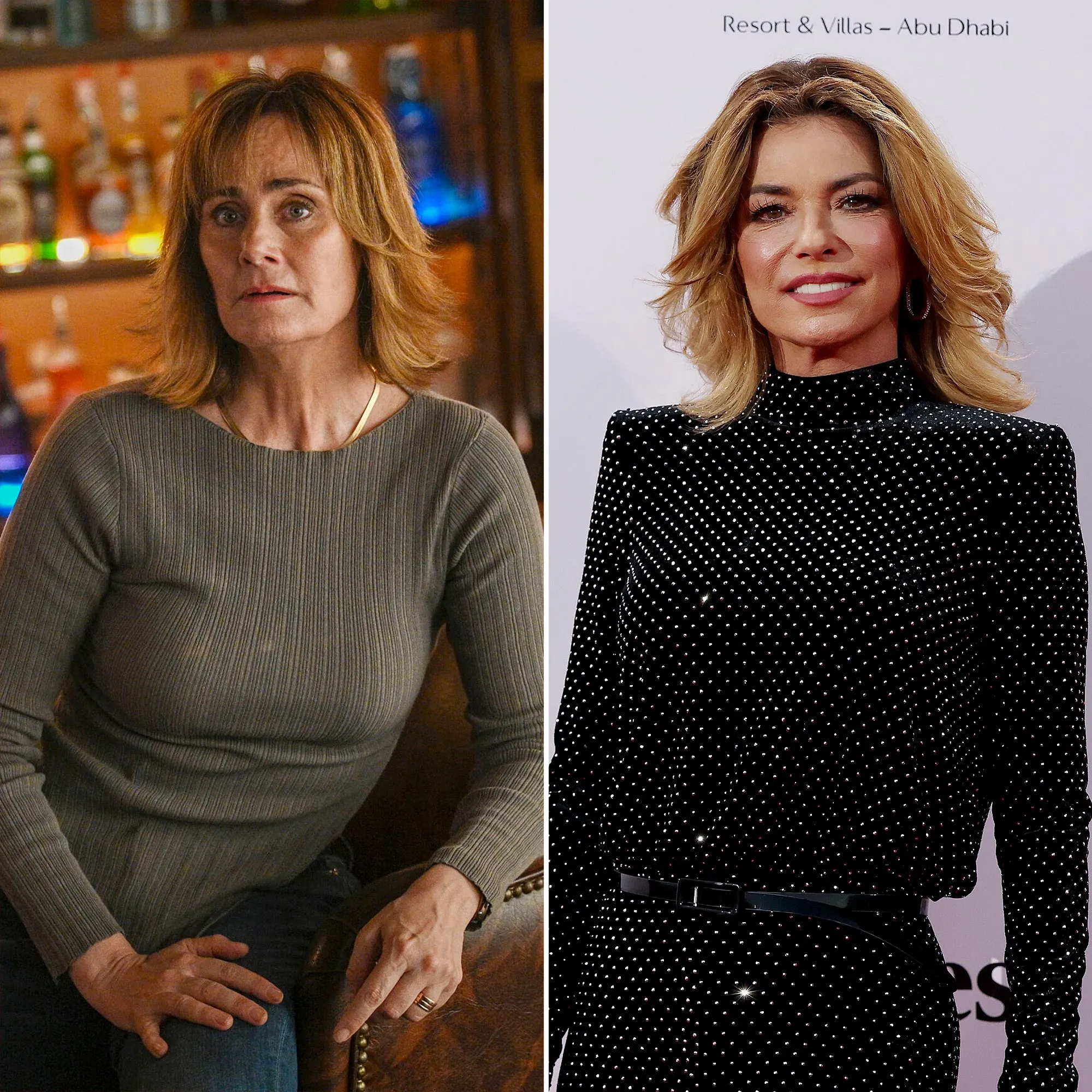 Fire Countrys Diane Farr Teases Sheriff Country Role for Shania Twain