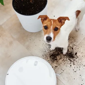 Freo Z10 Robot Vacuum and Mop Combo cleaning a hardwood floor with a dog looking up