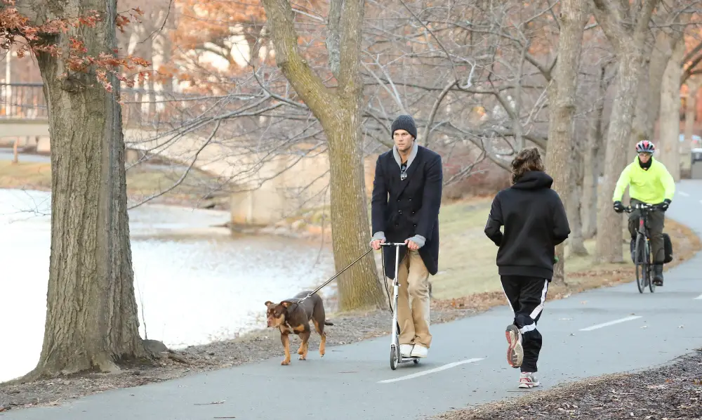 GettyImages-454218167 Tom Brady Dog 2013