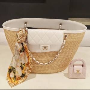Chanel Cruise 2025/26 Bags