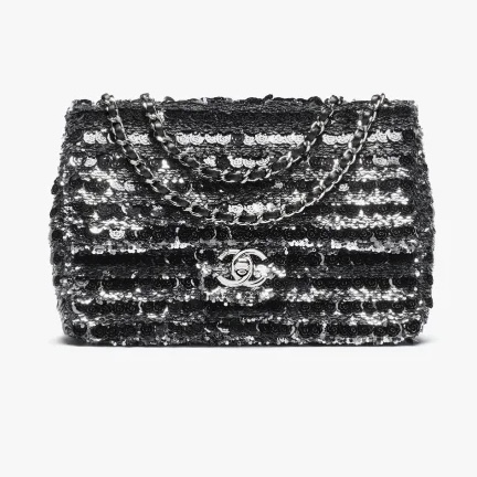 Chanel Cruise 2025/26 Bags