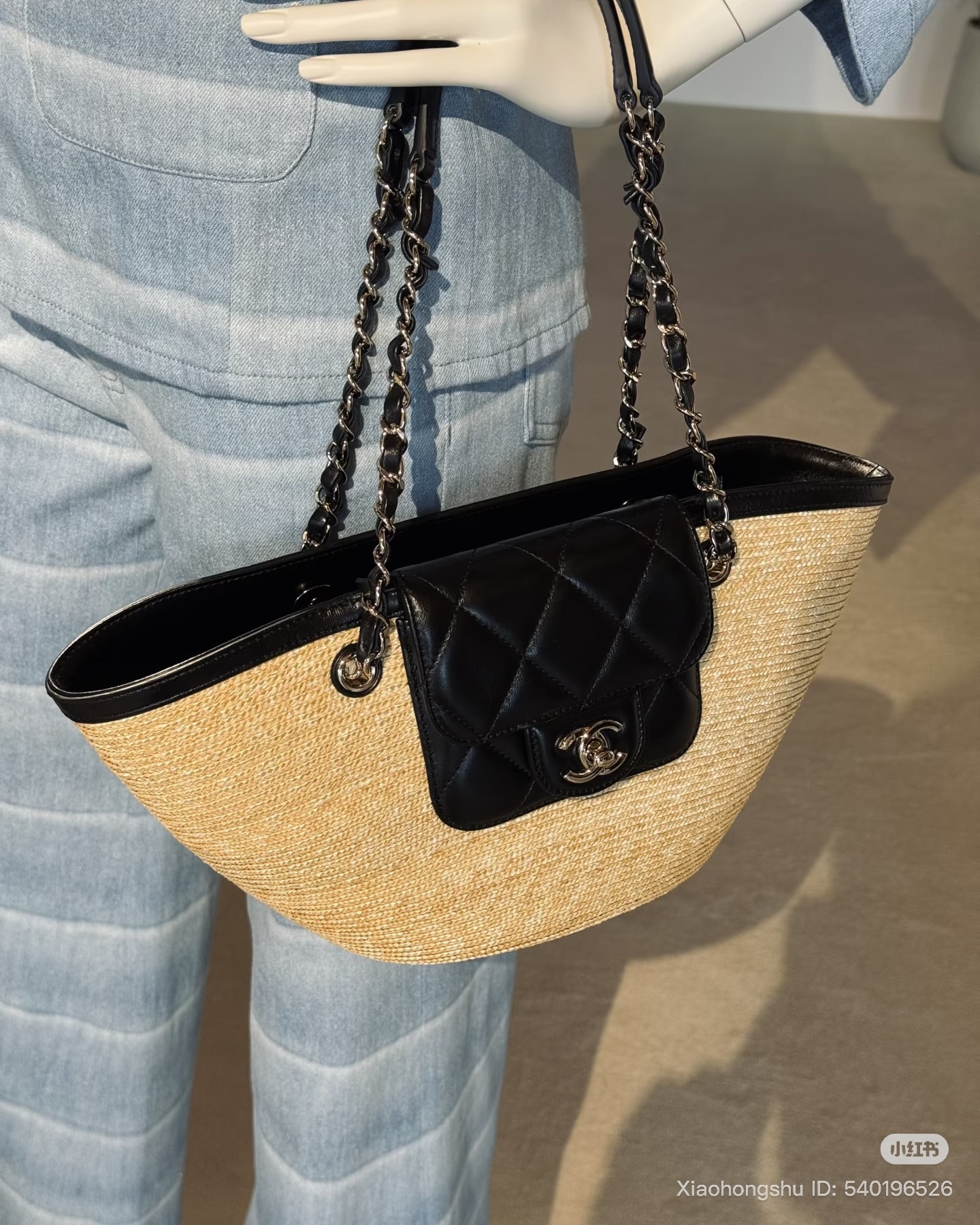 chanel 2025/26 cruise bag collectsion 26c