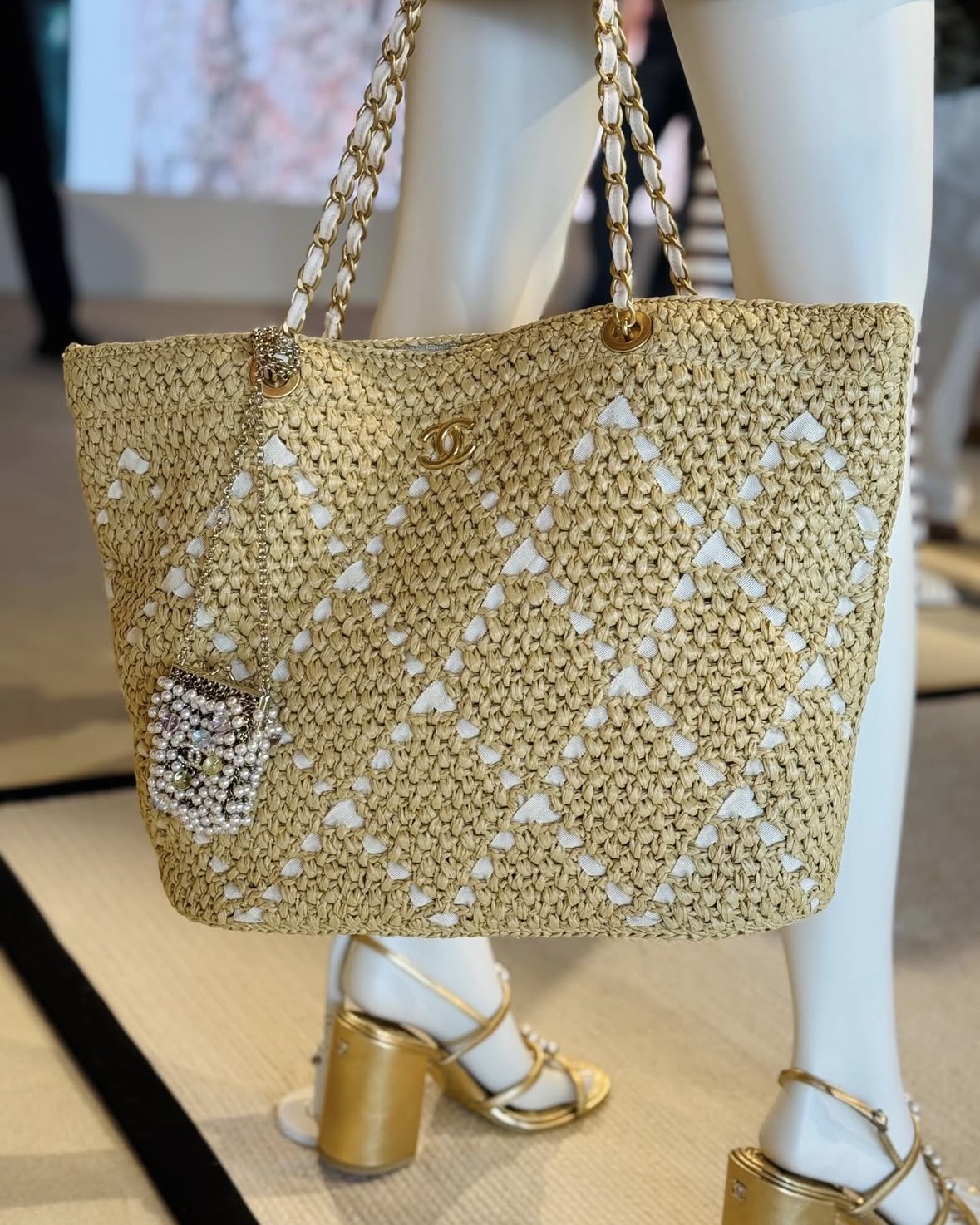 Chanel Cruise 2025/26 Bags